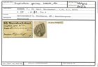 Karteikarte zum Holotyp von Frondicularia speciosa Karrer, 1870